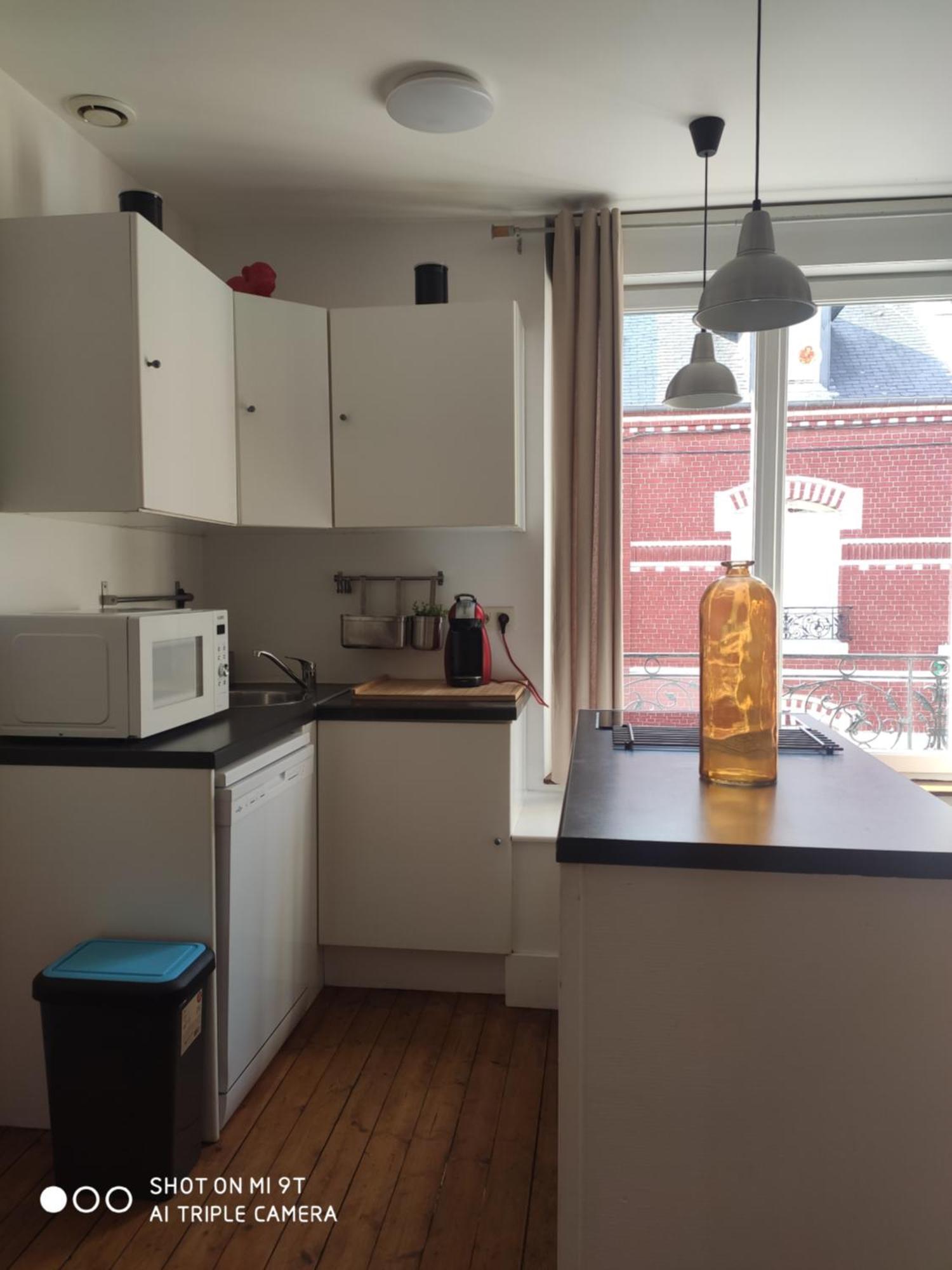 Appartamento Chaleureux T2 Au Style Vintage - Rue Gratuite Amiens Esterno foto